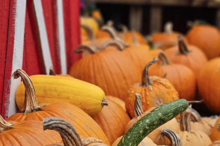 Morris County in September 2026: Festivals, Oktoberfests, and Fall Fun