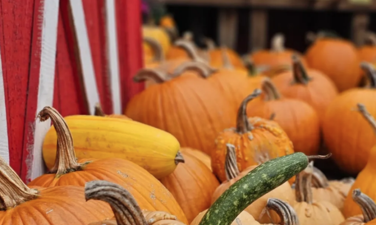 Morris County in September 2026: Festivals, Oktoberfests, and Fall Fun
