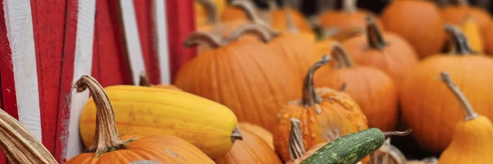 Morris County in September 2026: Festivals, Oktoberfests, and Fall Fun
