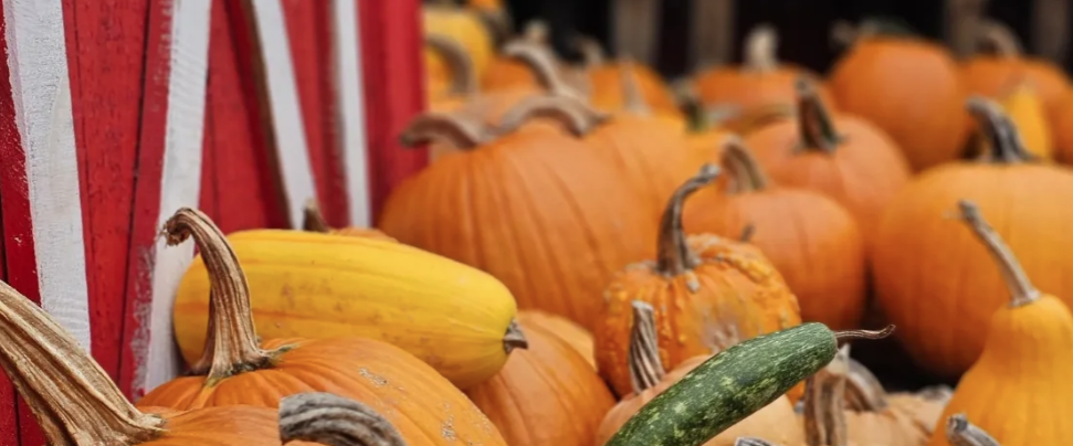 Morris County in September 2026: Festivals, Oktoberfests, and Fall Fun