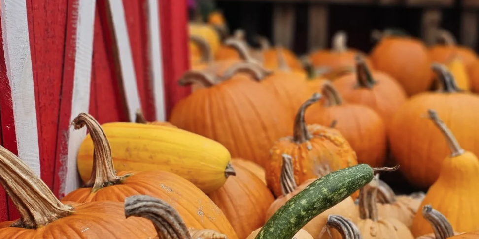 Morris County in September 2026: Festivals, Oktoberfests, and Fall Fun Morris County in September 2026: Festivals, Oktoberfests, and Fall Fun